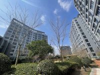 留學生回國前“遠程找房”，找到了“好住不貴”的公寓還能步行上下班