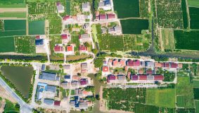 村居書記老齡化？上海這個鎮打造老帶新模式，培養年輕干部隊伍