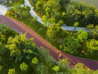 上海將添寬100米“大動脈”，總長超200公里，2025年環抱五個新城