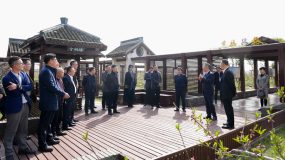 金山這個鎮探索“宅基共富計劃”，一批“田園總部”在鄉村揭開面紗