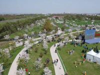 親子游、閨蜜游、兄弟游…春天來了，金山發布10條主題游線邀客去踏青