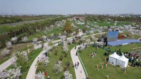 親子游、閨蜜游、兄弟游…春天來了，金山發布10條主題游線邀客去踏青