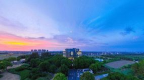 金山出臺產業鏈合作獎勵政策，企業紛紛牽手“近鄰”降成本、談訂單、搞研發…