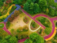 喜歡遛公園的老年朋友們，浦東這個街道的“口袋公園”翻新啦