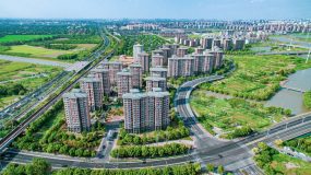 上海這個鎮開展聯合走訪調研，“沉浸”于13個產業園區一年，帶來了什么