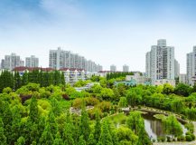 “制造”升級“智造”，上海楊浦要打造千億級產業集群