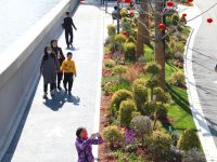 上海黃浦江、蘇州河畔已新增約90處服務驛站，今年還有哪些新亮點？