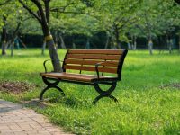 上海打造公園城市,2025年底有1000座公園,除了數量還有哪些看點? 上海打造公園城市,2025年底有1000座公園,除了數量還有哪些看點?