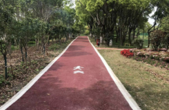 建設人與自然和諧共生的美麗家園！“十四五”末浦東公園數量將超200座