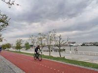 全程23公里！上海這條騎行路線沿途處處是風景