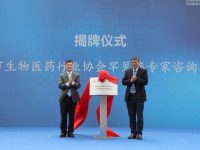 四年集聚三千家企業…作為“上海灣區”城市品牌策源地，金山這里崛起產業高地