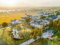 廢棄小學改造獲“普羅獎”公共建筑金獎，上海這個村子又要火？