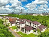 上海這座以農為主的村子稅收上億,竟是源起20多年前的浦江造林行動 上海這座以農為主的村子稅收上億,竟是源起20多年前的浦江造林行動