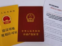 ?上海首例“交地即交證”項目落地，金山區為項目早開工爭取“黃金時間”