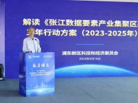 最高資助2000萬元！浦東全力支持重大數據要素平臺和創新應用項目落地