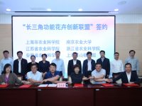 中國野百合曾拯救了世界百合產業？如今，“功能花卉開發”將成新賽道