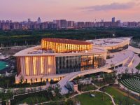 新增就業崗位、加大房源供應，上海奉賢發力建設青年發展型城市