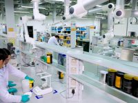 跨國公司投資上海有了新變化：除了新建工廠和產線，更多研發中心加速“落滬”