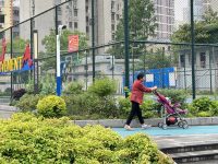 陸家嘴新開放8萬平米綠地，原來得益于這項工作推進