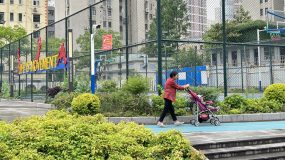 陸家嘴新開放8萬平米綠地,原來得益于這項工作推進 陸家嘴新開放8萬平米綠地,原來得益于這項工作推進