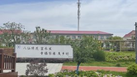 養蟾蜍,種繡球……上海這座原生態小島上,鄉村“新經濟”如火如荼 養蟾蜍,種繡球……上海這座原生態小島上,鄉村“新經濟”如火如荼