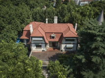 藏在綠蔭間的它，有一頂惹人喜愛的“紅帽子”