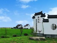 耗資7000萬的智慧稻米體驗館落地金山鄉村，托起數百家生產主體品牌之路