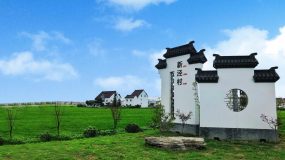 耗資7000萬的智慧稻米體驗館落地金山鄉村，托起數百家生產主體品牌之路