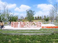 大零號灣創業者：業績不是大風吹來的，必須奔跑追趕