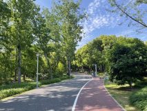 6公里生態綠道、5公里景觀河道，虹橋機場邊竟有這樣的“城市寶藏”！