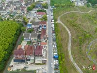 北蔡“小南京路”消失了，它將成為上海未來的“城市森林”