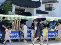 ?“海漁尋跡”、“金味品鑒”、“研學潮玩”…金山發布5條非遺特色主題游線