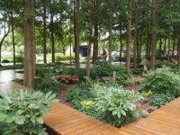 這個濱江綠地里藏著森系氧吧和迷宮花境，你去打卡了嗎？