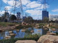 第50個世界環境日，上海這個區正式啟動創建“無廢城市”