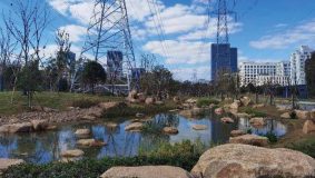 第50個世界環境日，上海這個區正式啟動創建“無廢城市”