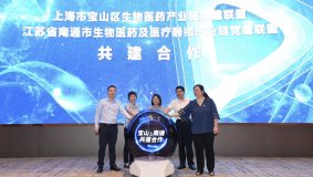 寶山與南通兩個生物醫藥黨建聯盟啟動共建合作，探索資源共享