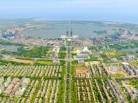 打造開放穩定的數字貿易規則體系，臨港新片區成立數字貿易產業聯盟