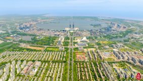 打造開放穩定的數字貿易規則體系，臨港新片區成立數字貿易產業聯盟