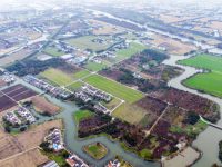 從一座樓房養豬場看上海鄉村土地13年之變