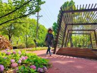 閔行這里新建3個環形綠道，其中一個環湖3.3公里