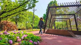 閔行這里新建3個環形綠道，其中一個環湖3.3公里