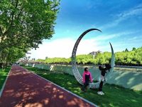 閔行今年將新建30公里綠道，一批休閑林帶預計年底前開放