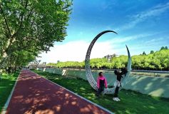 閔行今年將新建30公里綠道，一批休閑林帶預計年底前開放