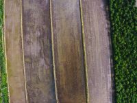 浦東每年預留5%建設用地指標給鄉村項目，嚴守紅線推進鄉村振興