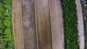 浦東每年預留5%建設用地指標給鄉村項目，嚴守紅線推進鄉村振興