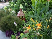 臨空園區的“多巴胺穿搭”，讓人頓覺清涼！