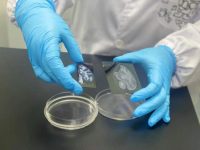 世界首套獼猴大腦皮層單細胞空間分布圖譜發布!G60腦智科創基地取得腦科學領域引領性成果 世界首套獼猴大腦皮層單細胞空間分布圖譜發布!G60腦智科創基地取得腦科學領域引領性成果