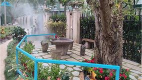 楊浦區推進社會治理創新，放大“十佳”睦鄰項目帶動示范效應