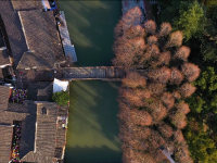 盈浦街道城市更新，打造老城廂的現代煙火氣