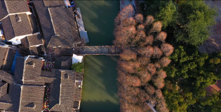 盈浦街道城市更新，打造老城廂的現代煙火氣